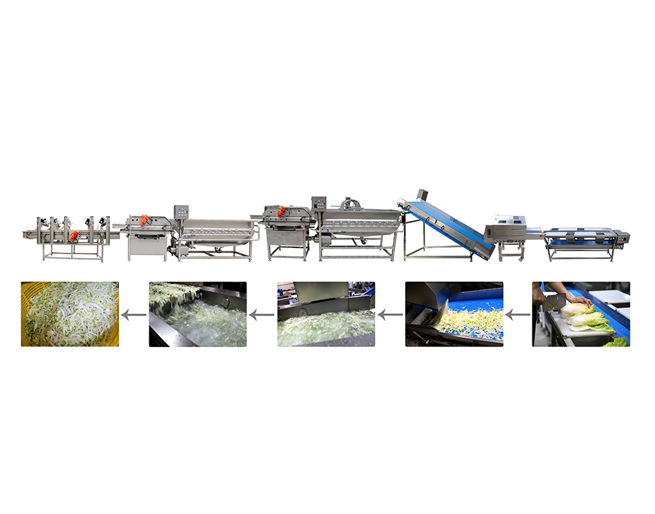 葉菜加工生產(chǎn)線 葉菜加工生產(chǎn)線